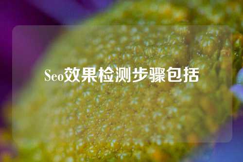 Seo效果检测步骤包括