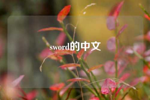 sword的中文